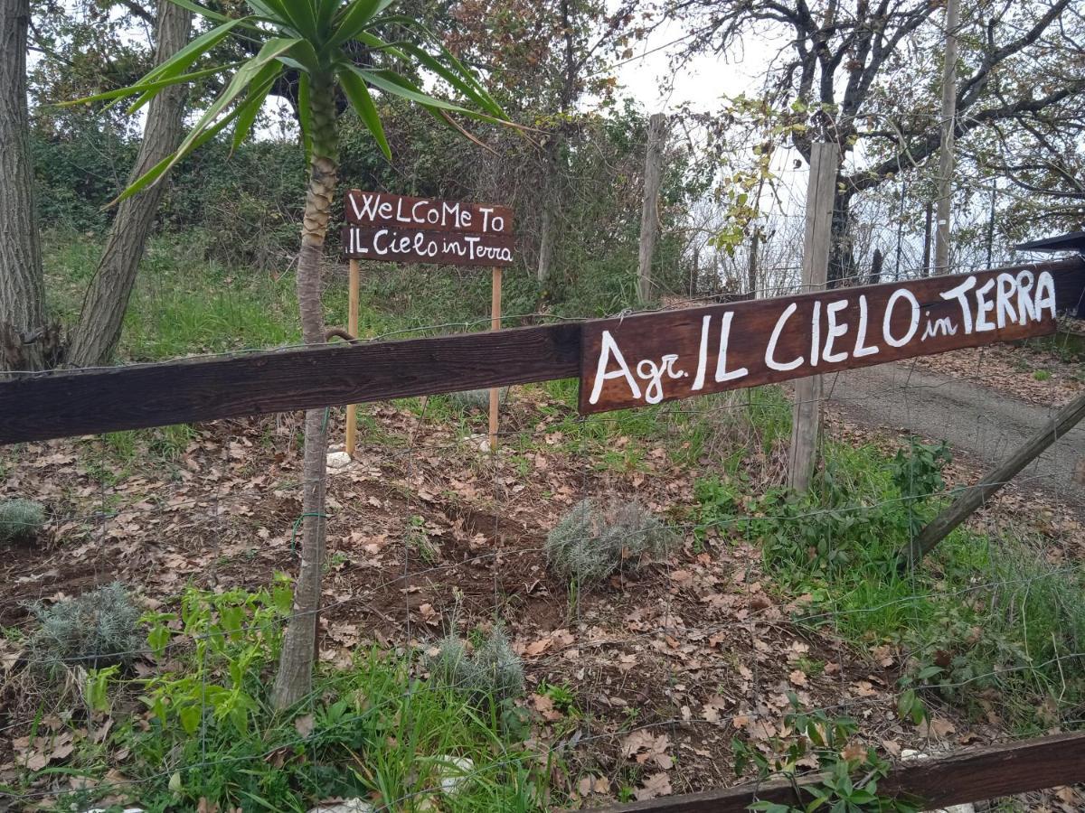 Agriturismo Il Cielo In Terra Sant'Oreste Екстер'єр фото