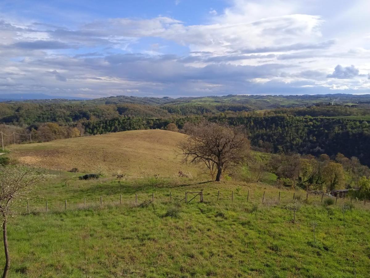 Agriturismo Il Cielo In Terra Sant'Oreste Екстер'єр фото